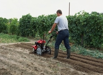 HONDA - Rotavátor FF 300