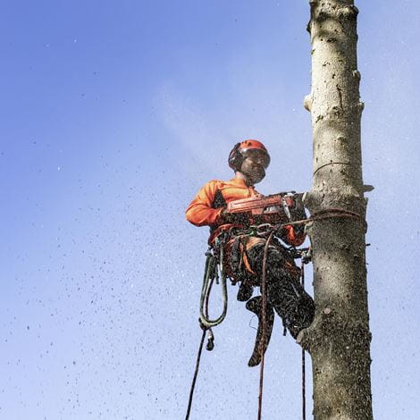 Husqvarna - Pařezová svěrka 