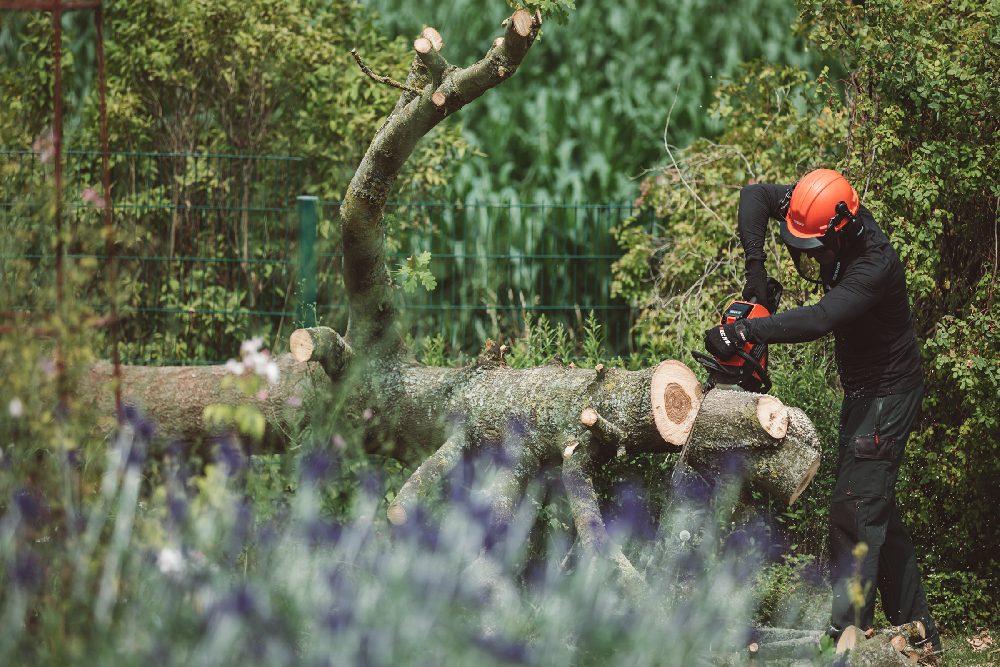 ECHO - DCS-3500 (bez baterie a nabíječky)