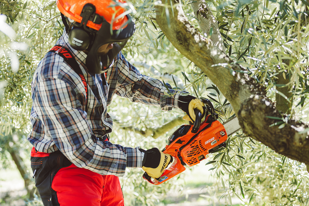 ECHO - CS-2511WES/30